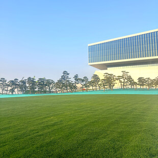 广阔绿草地旁的现代建筑