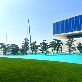 现代建筑旁的翠绿草坪与水池