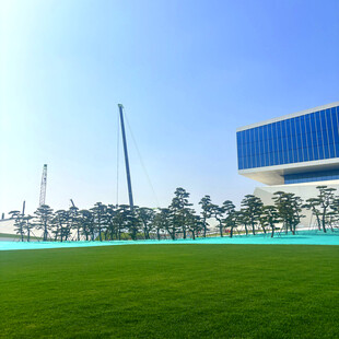 户外开阔绿地与现代建筑