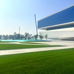 现代建筑旁的翠绿草坪