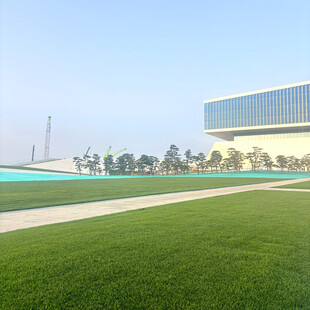 现代建筑旁的开阔草坪景观