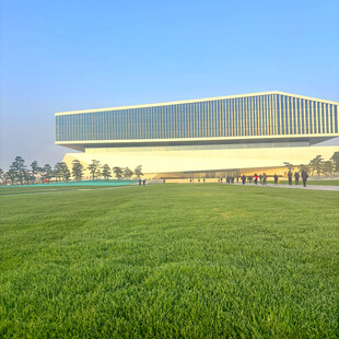 广阔绿地旁的现代建筑