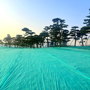 蓝色防护网覆盖的开阔场地