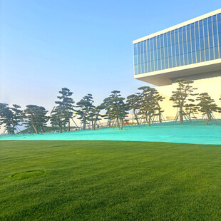 现代建筑旁的翠绿草坪