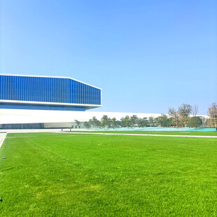 蓝白建筑旁的翠绿草坪