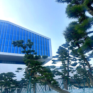 现代建筑与绿植景观融合