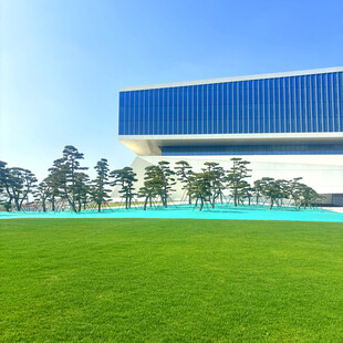 现代建筑与广阔绿地景观