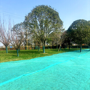 户外翠绿草坪与树木景观