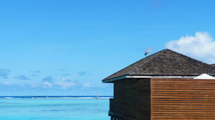 海边木屋 尽享静谧海景