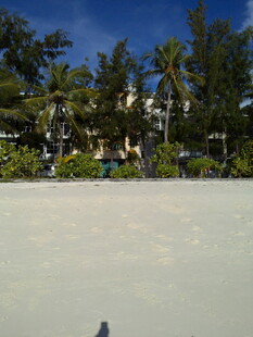 热带海滩风光 椰树蓝天