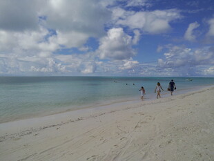 漫步美丽海滩的欢乐身影