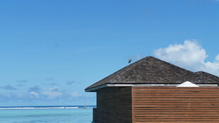 海边木屋 尽享静谧时光