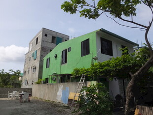 绿色外墙的临街特色建筑