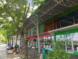 户外绿植环绕的休闲场所