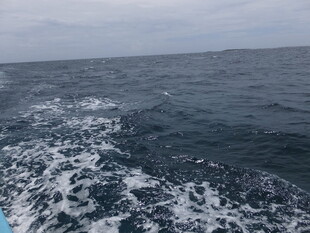 海上行舟泛起白色浪花