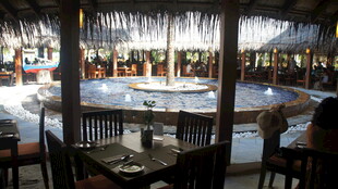 热带风情露天休闲场所