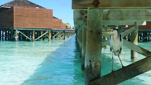 水上木屋栈桥美景