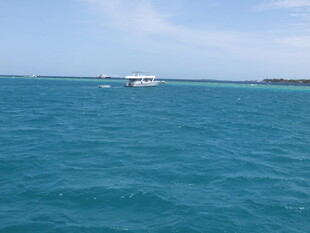 碧海之上的船只景象