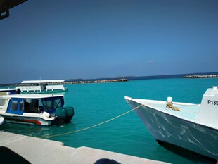 停靠码头的两艘豪华游艇