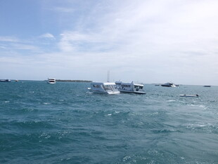 海上船只航行景象