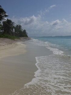 美丽海滨沙滩海浪风景