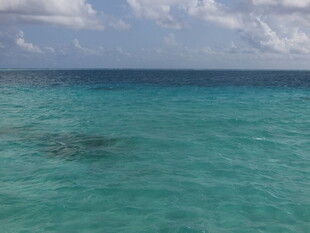 清澈碧蓝的美丽海洋景观