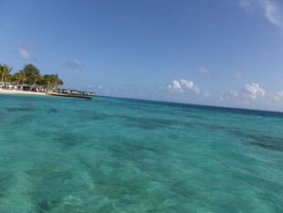 美丽海岛的清澈蔚蓝海域