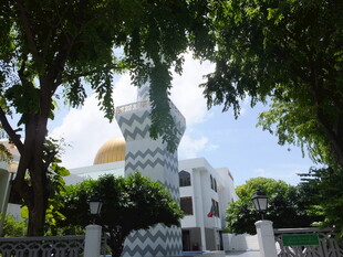 绿树掩映下的独特建筑