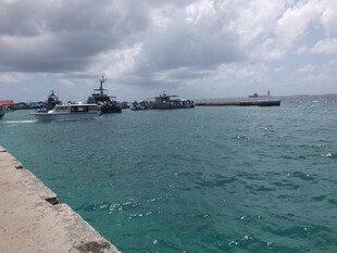 港口停驻的多艘军舰