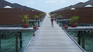 水上栈道通向特色水上屋