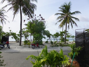 海边椰树下的休闲景致