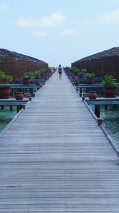 延伸至湖中的木质栈桥