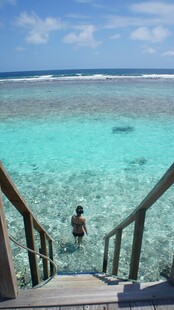 通往碧海的木质阶梯