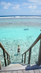 通往碧海的木质阶梯