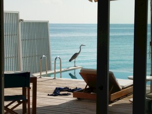 海边露台的悠闲时光