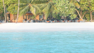 热带海滩风光 椰林碧水