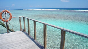 海边栈桥赏碧海蓝天