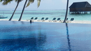 马尔代夫海景泳池风光