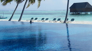 马尔代夫海景泳池风光