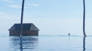 水上小屋 静谧自然之景