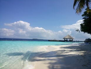 美丽热带海滩风光