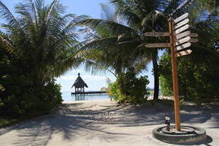 热带海滨风光指示牌场景