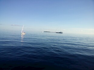 海上帆船与船只的开阔景象