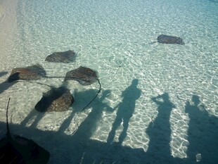 海边人影与礁石的美丽剪影