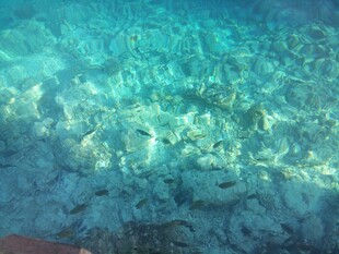 海底世界的斑斓景象