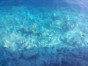 清澈海底世界美丽景象