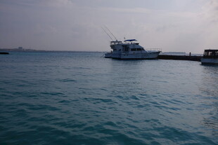 海上停泊的船只