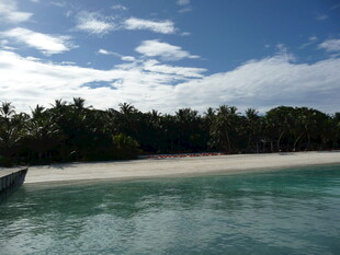 美丽热带海滩风光