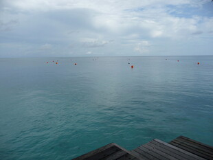 海边栈桥望碧海蓝天