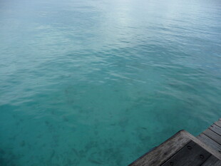 清澈海面与木质平台